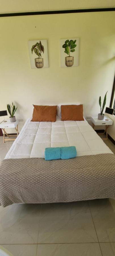 Koi Room Quesada  Kültér fotó